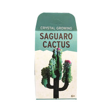 Load image into Gallery viewer, Capernicus Games Crystal Growing Tree Saguaro Cactus
