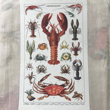 Load image into Gallery viewer, Cavallini Vintage Tea Towel Crustaceans
