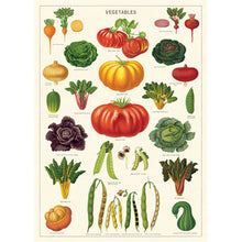 Load image into Gallery viewer, Cavallini Poster Wrapping Paper Vegetables

