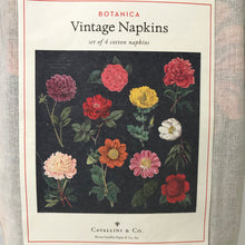 Load image into Gallery viewer, Cavallini Vintage Napkins Botanica
