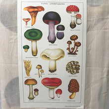 Load image into Gallery viewer, Cavallini Vintage Tea Towel Mushrooms Fungi Champignons
