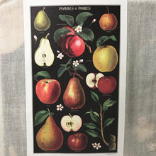 Load image into Gallery viewer, Cavallini Vintage Tea Towel Pommes et Poires Apples and Pears
