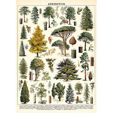 Load image into Gallery viewer, Cavallini Poster Wrapping Paper Arboretum
