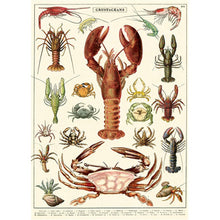 Load image into Gallery viewer, Cavallini Poster Wrapping Paper Crustaceans
