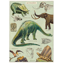 Load image into Gallery viewer, Cavallini Poster Wrapping Paper Dinosaur
