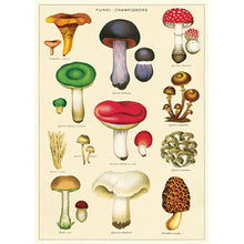 Load image into Gallery viewer, Cavallini Poster Wrapping Paper Fungi
