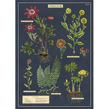 Load image into Gallery viewer, Cavallini Poster Wrapping Paper Herbarium
