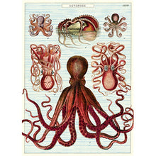 Load image into Gallery viewer, Cavallini Poster Wrapping Paper Octopods

