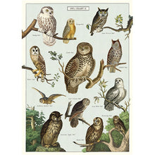 Load image into Gallery viewer, Cavallini Poster Wrapping Paper Owls Owl Chart
