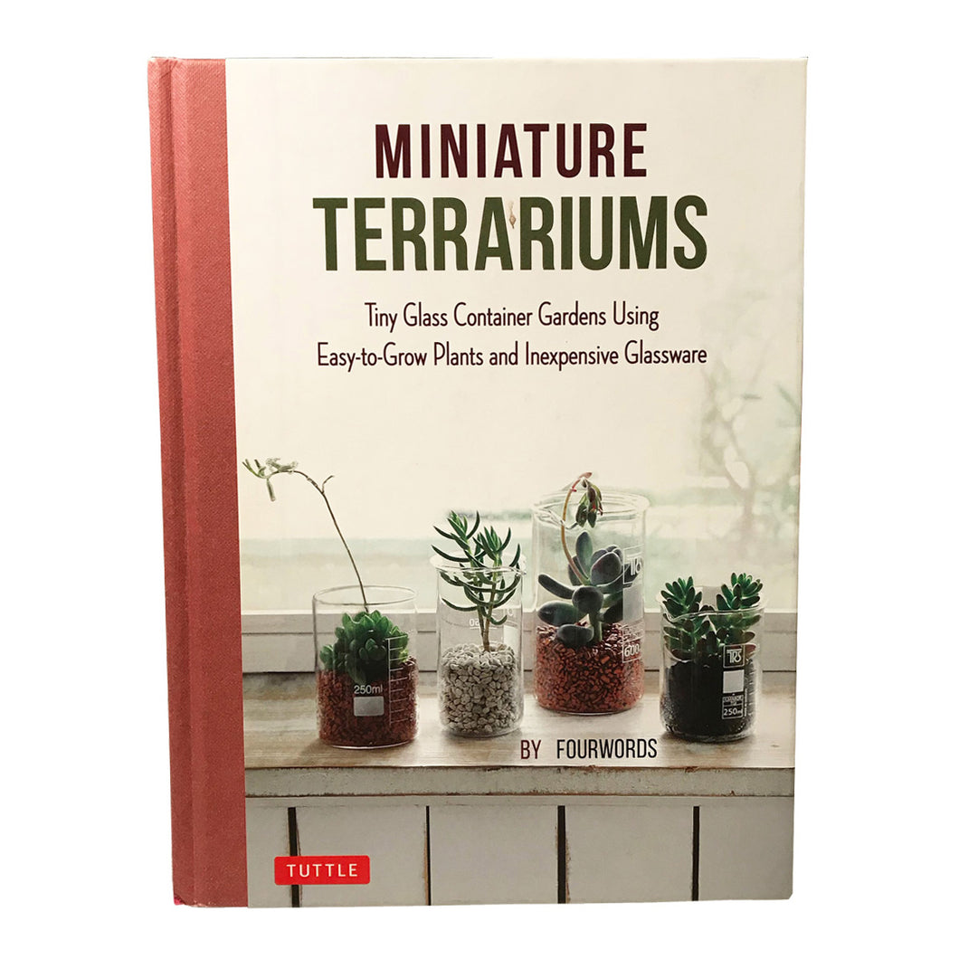Miniature Terrariums Tiny Glass Container Gardens Using Easy to Grow Plants and Inexpensive Glassware